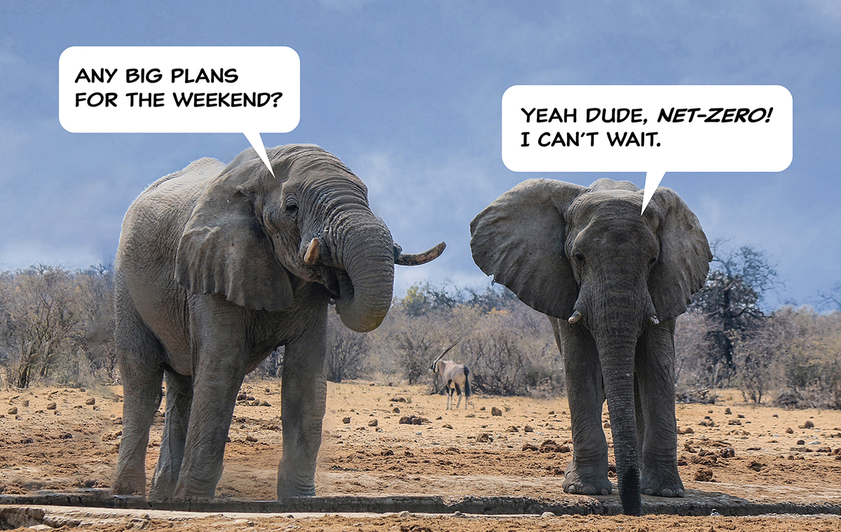 Two elephants. One asks the other if it has any plans for the weekend. The reply is: Yeah dude, Net-Zero! I can't wait.