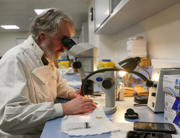 Inland Fisheries Ireland scientific research laboratory