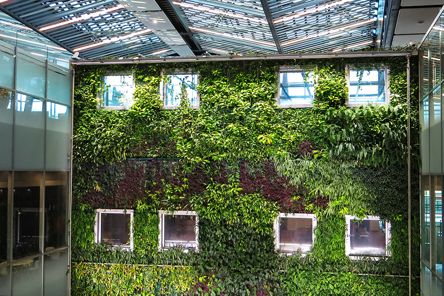Internal green wall in a LEED certified building