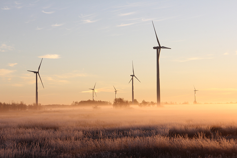 A wind farm at dawn, with the windmills standing above above a low mist beneath clear skies.