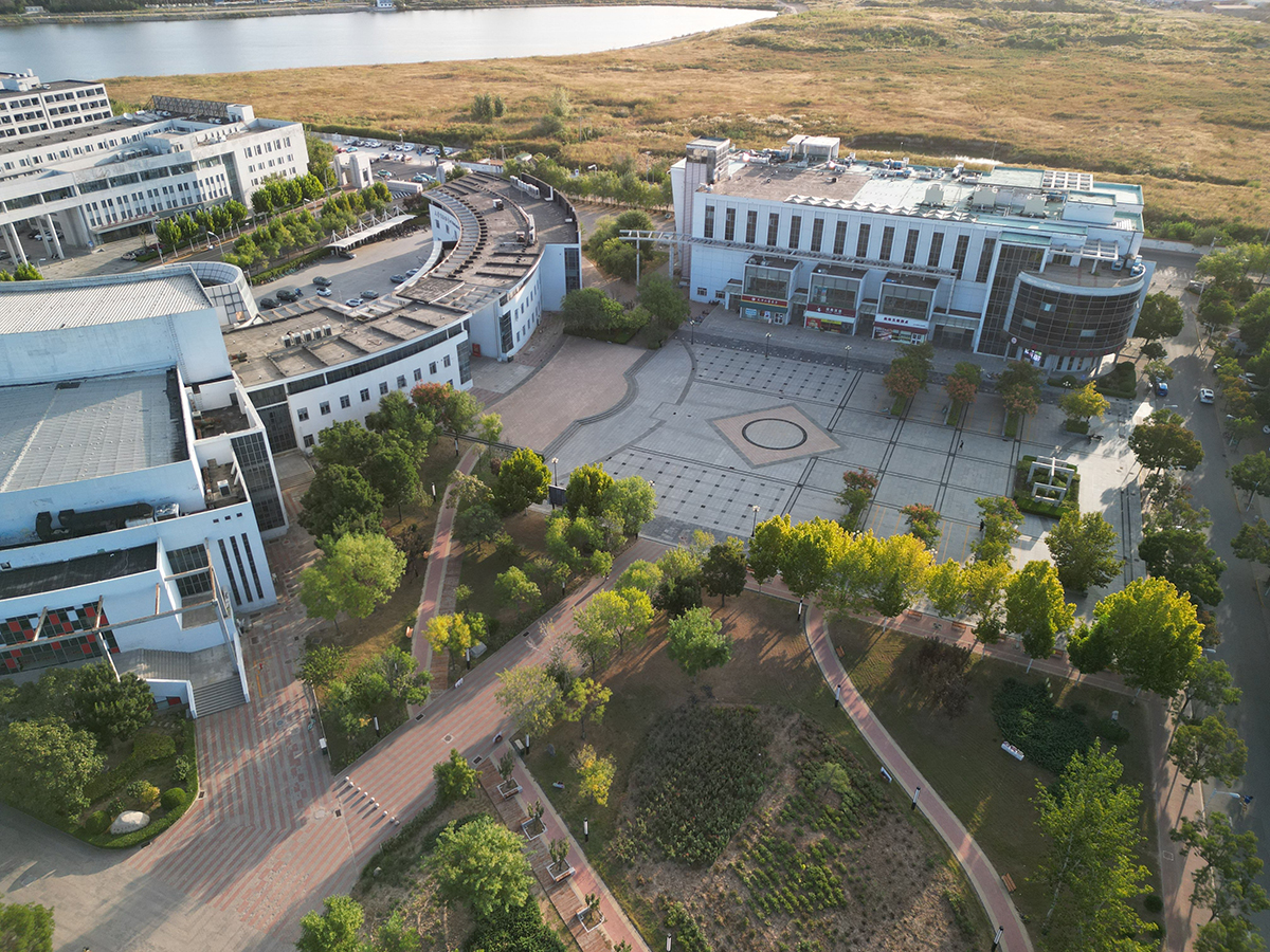 Aerial view of a technology business campus with landscaped grounds and plenty of tree-lined walkways