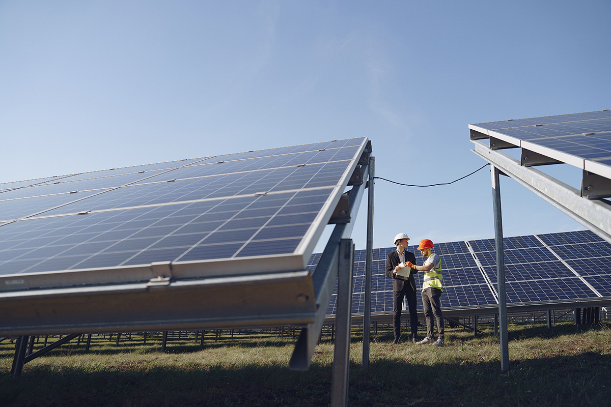 Project engineers standing amongst solar panels reviewing plans.