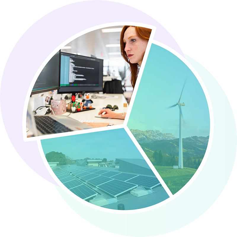 Pie chart shaped illustration with segments showing a software engineer at work, wind power and solar panels